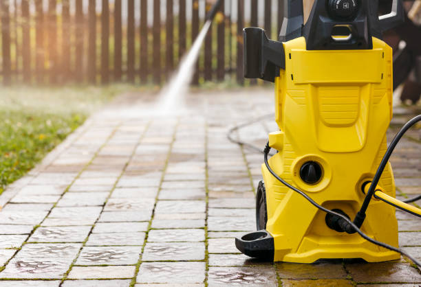 Best Driveway Pressure Washing  in Hidalgo, TX